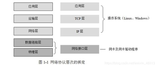 计算机网络技术基础知识